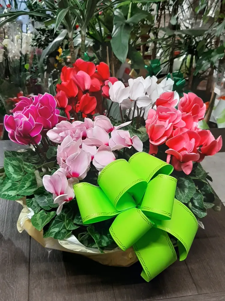 bouquet deuil (1)